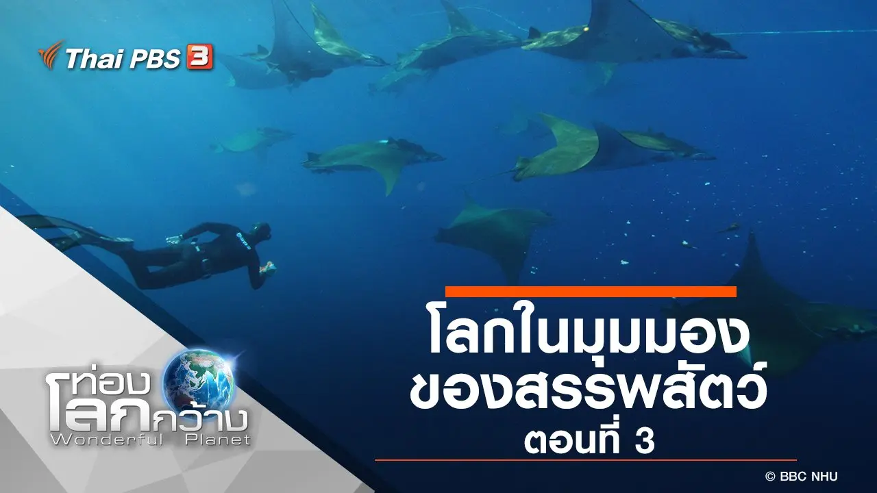 โลกในมุมมองของสรรพสัตว์ ตอนที่ 3