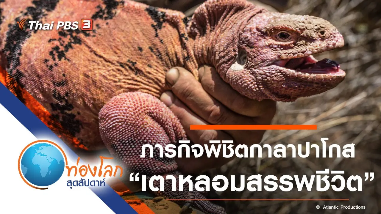 ภารกิจพิชิตกาลาปาโกส ตอน เตาหลอมสรรพชีวิต
