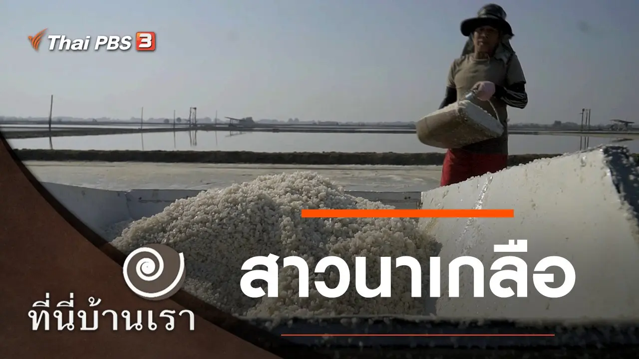 สาวนาเกลือ