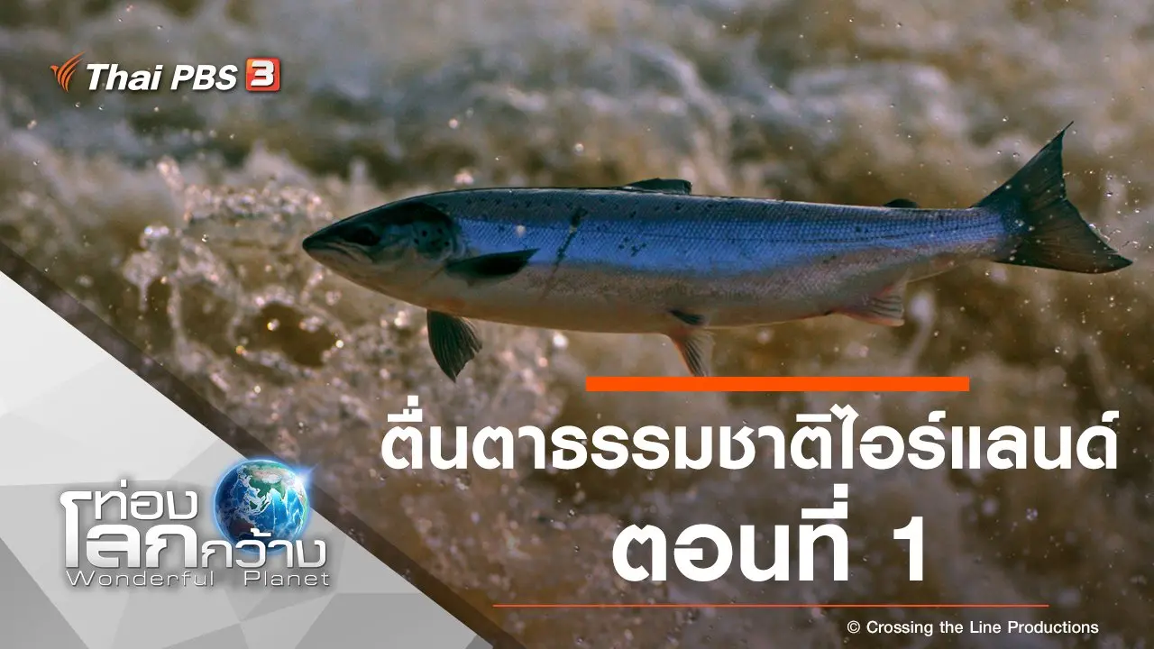 ตื่นตาธรรมชาติไอร์แลนด์ ตอนที่ 1