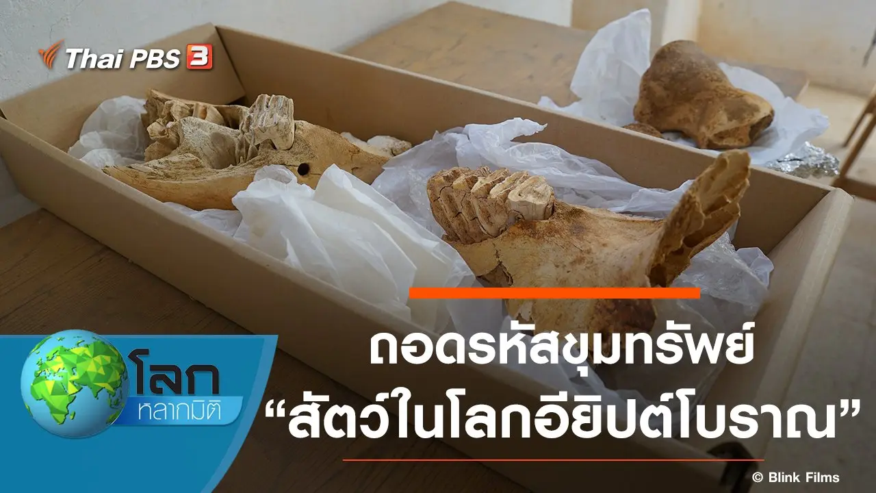 ถอดรหัสขุมทรัพย์ ตอน สัตว์ในโลกอียิปต์โบราณ