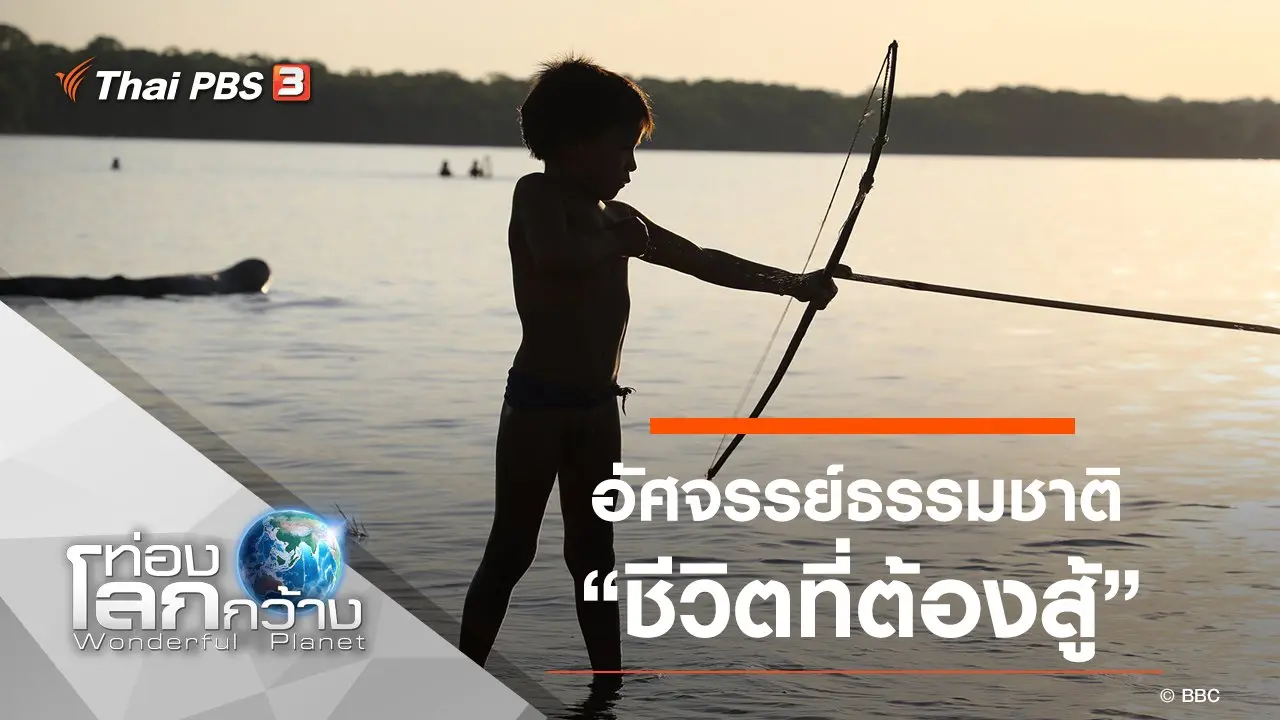 อัศจรรย์ธรรมชาติ ตอน ชีวิตที่ต้องสู้
