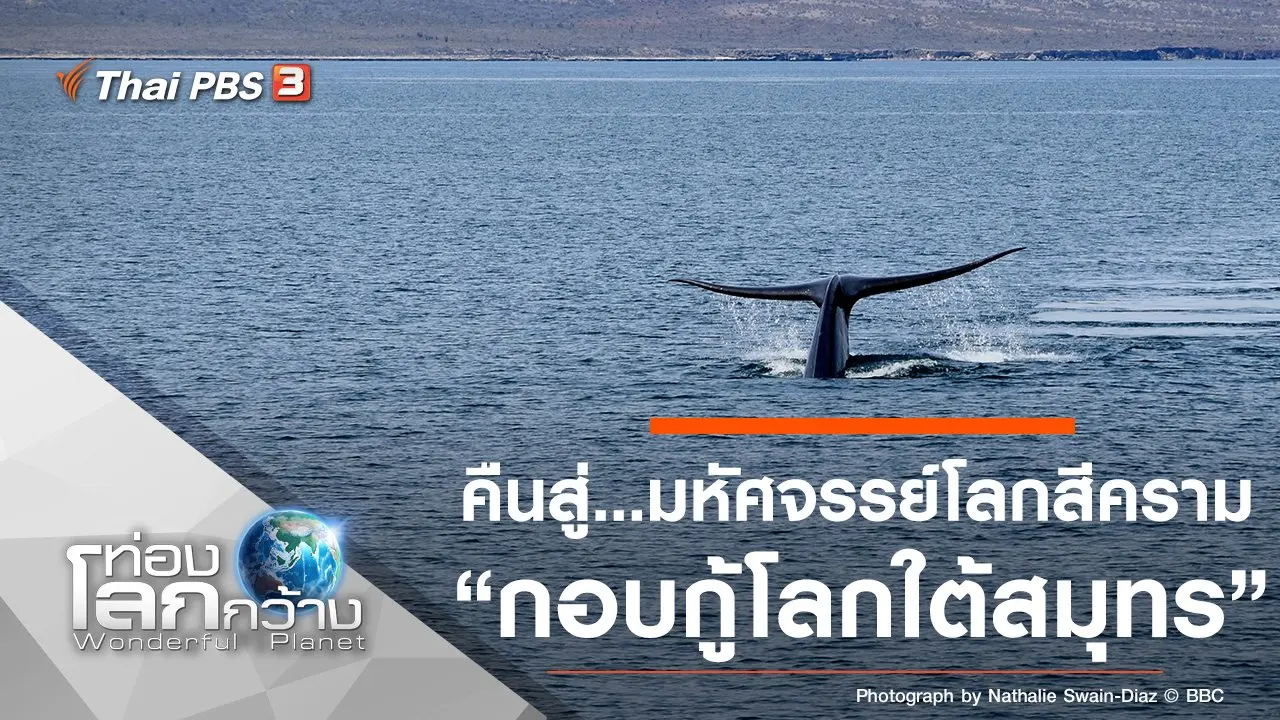 คืนสู่...มหัศจรรย์โลกสีคราม ตอน กอบกู้โลกใต้สมุทร