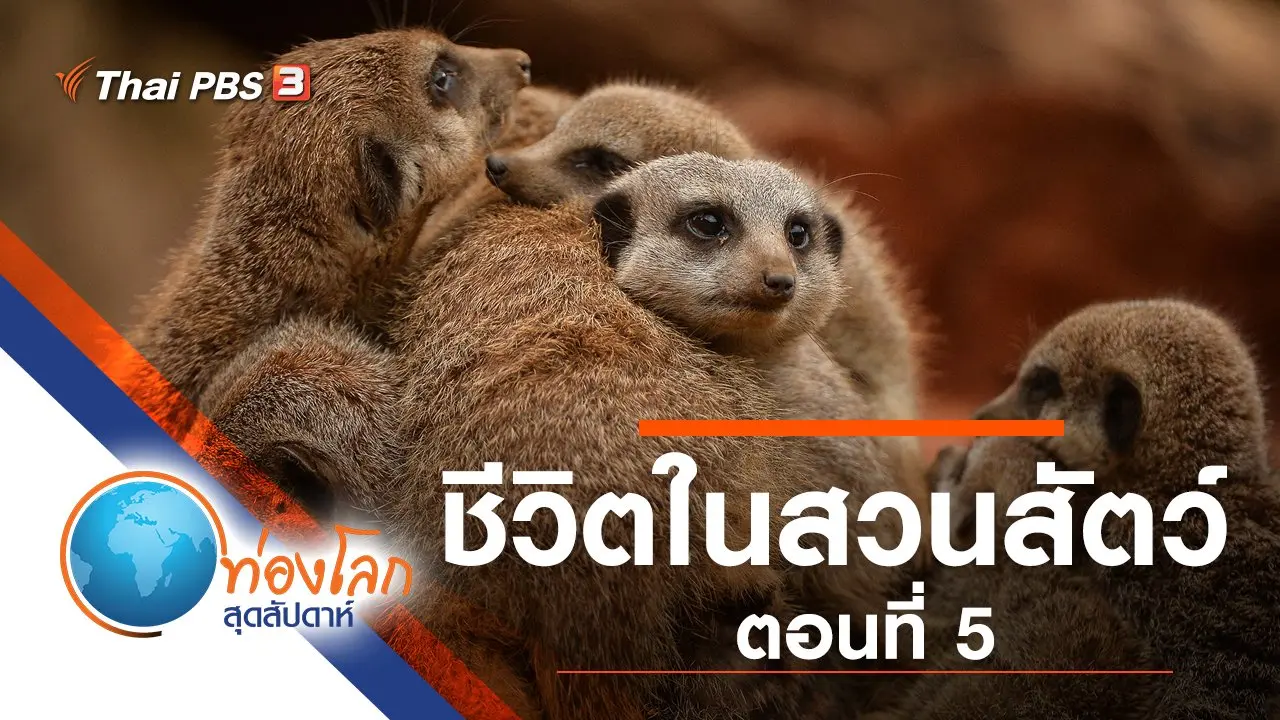 ชีวิตในสวนสัตว์ ตอนที่ 5