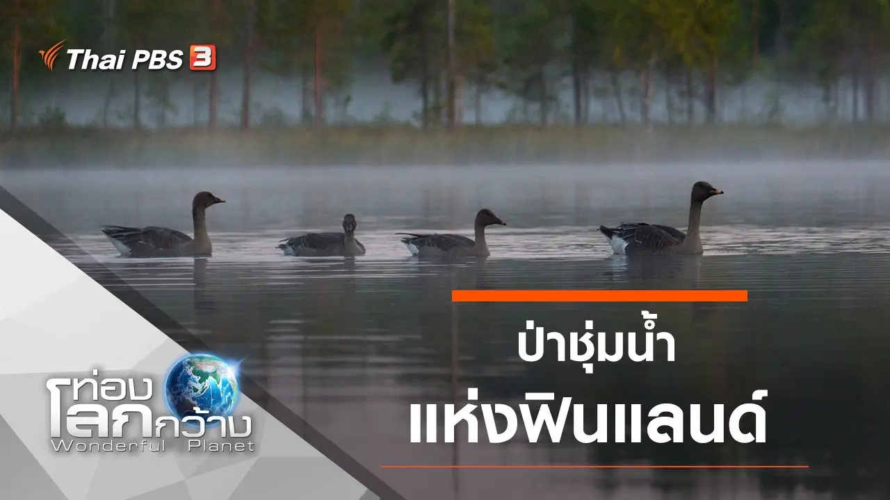 ป่าชุ่มน้ำแห่งฟินแลนด์