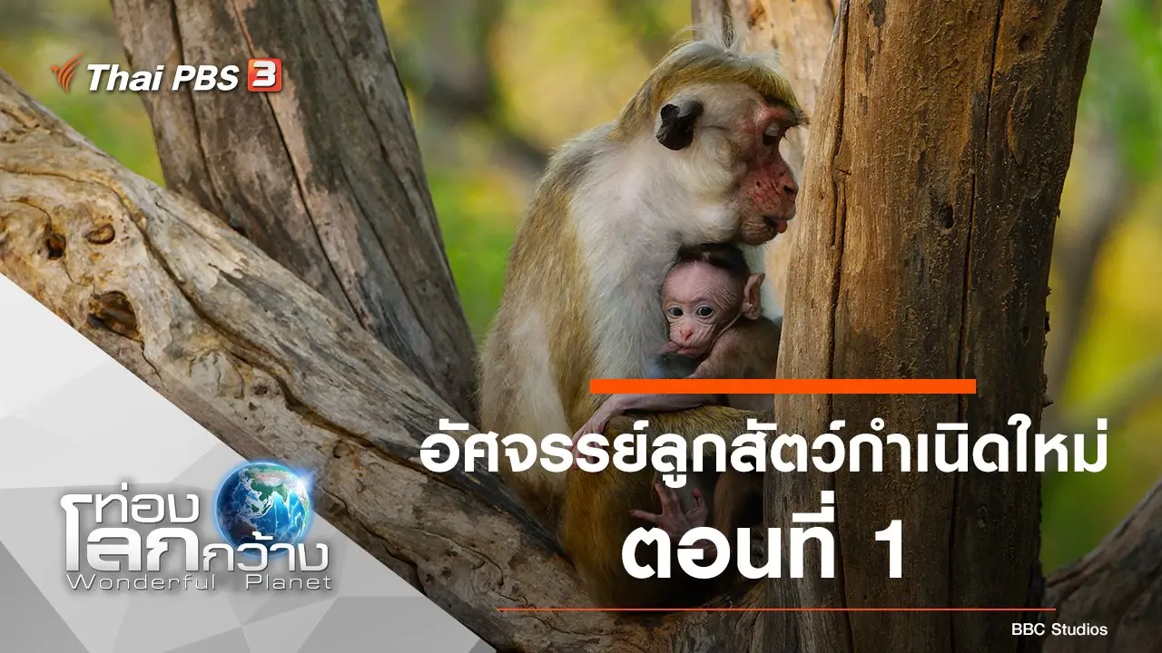 อัศจรรย์ลูกสัตว์กำเนิดใหม่ ตอนที่ 1
