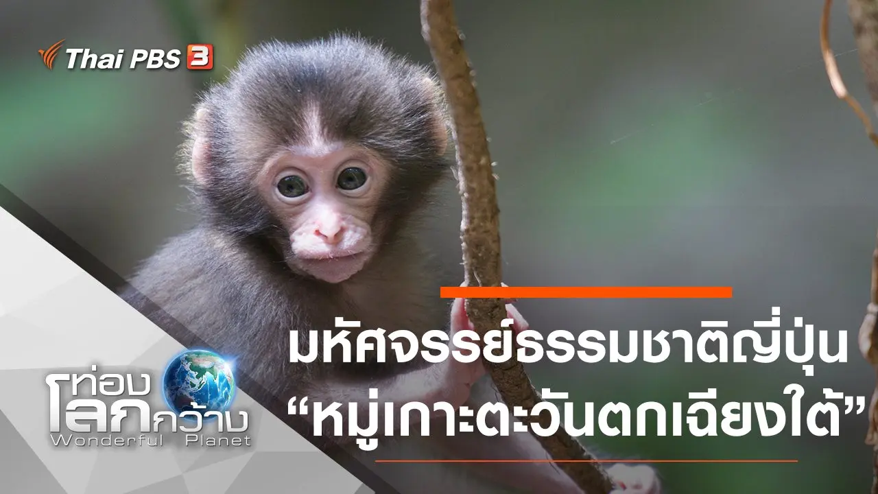 มหัศจรรย์ธรรมชาติญี่ปุ่น ตอน หมู่เกาะตะวันตกเฉียงใต้