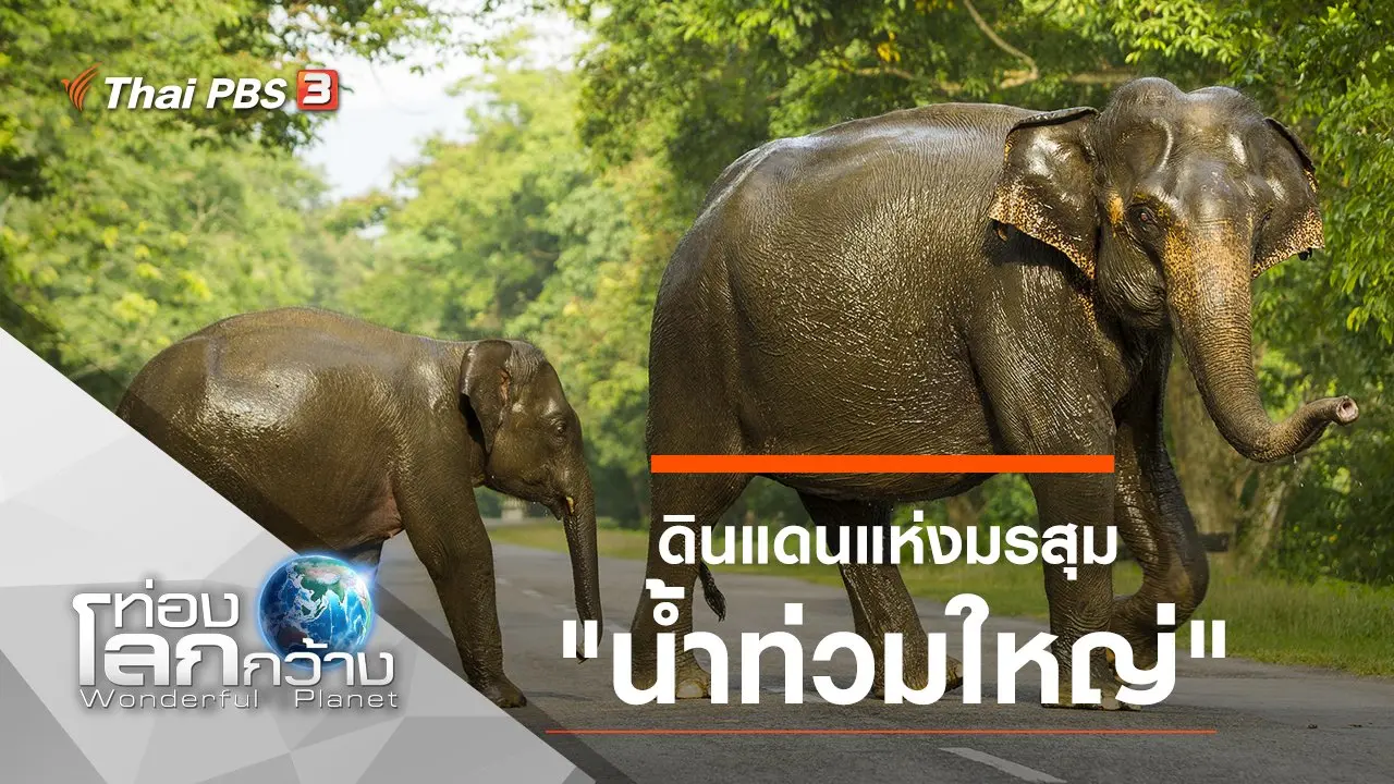 ดินแดนแห่งมรสุม ตอน น้ำท่วมใหญ่