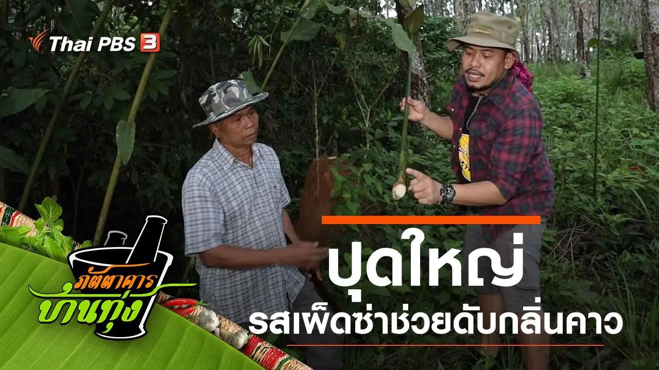 ปุดใหญ่