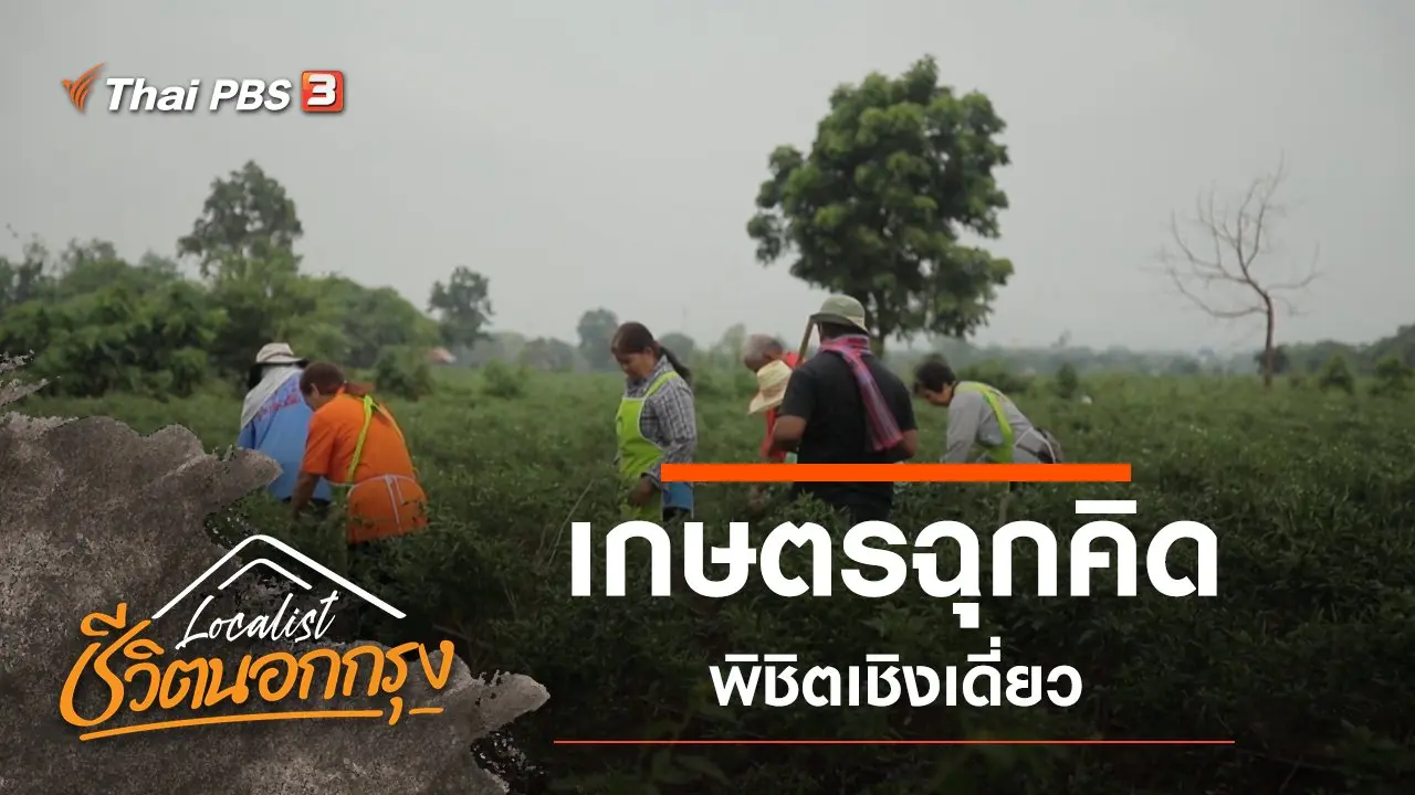เกษตรฉุกคิด พิชิตเชิงเดี่ยว​
