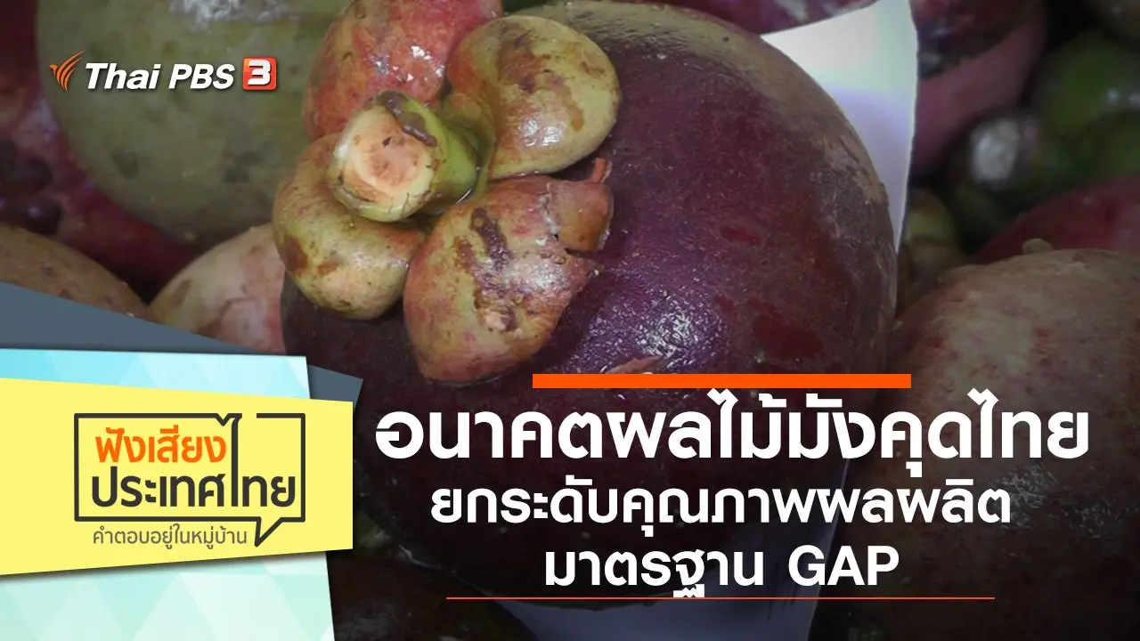 อนาคตผลไม้มังคุดไทย ยกระดับคุณภาพผลผลิตมาตรฐาน GAP