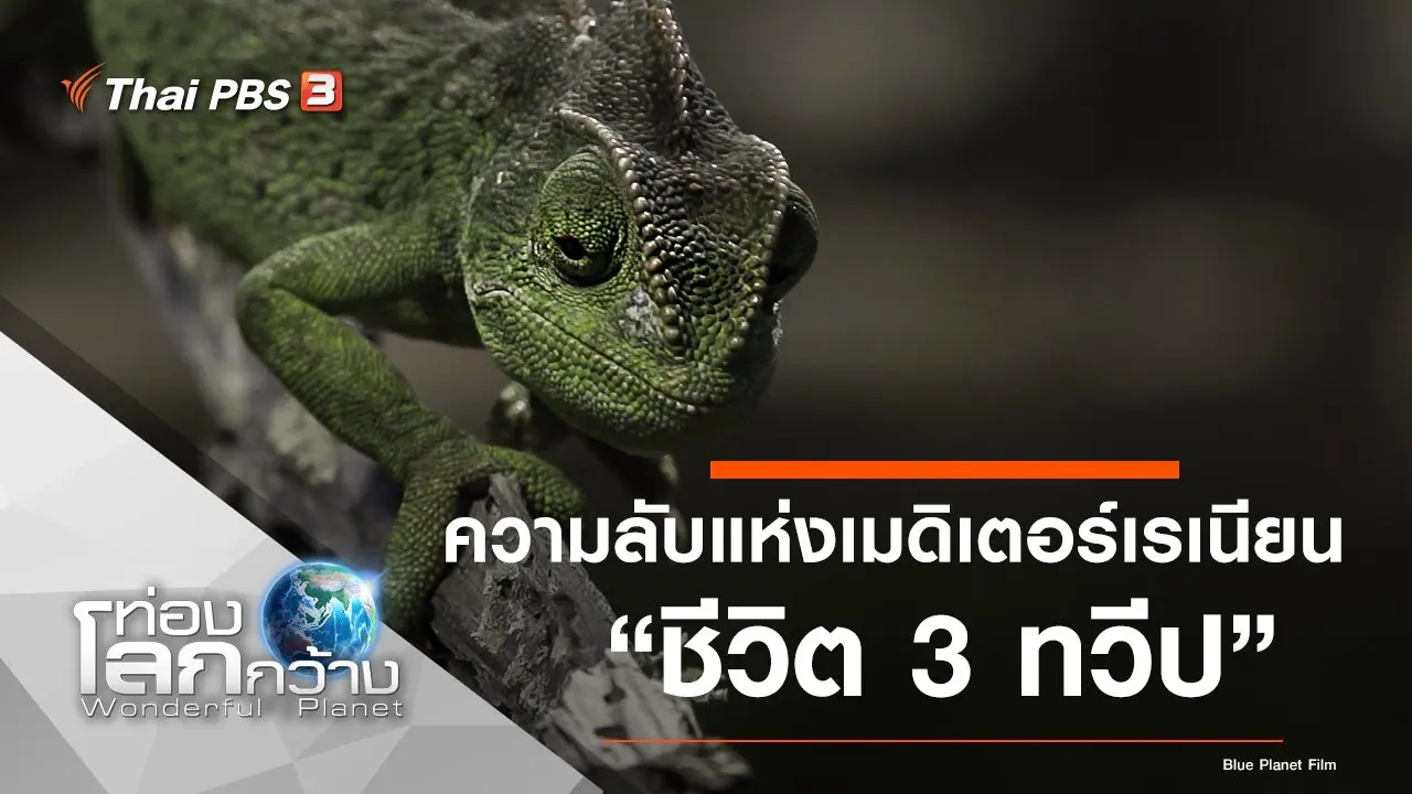 ความลับแห่งเมดิเตอร์เรเนียน ตอน ชีวิต 3 ทวีป