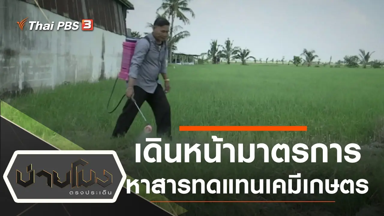 ประเด็นข่าว (25 ต.ค. 62)