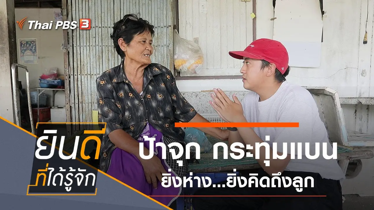 กระทุ่มแบน
