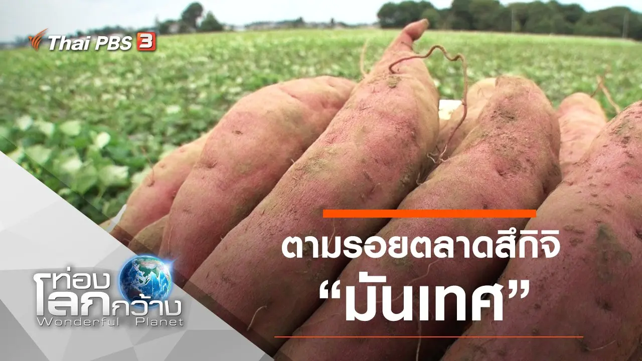 ตามรอยตลาดสึกิจิ ตอน มันเทศ