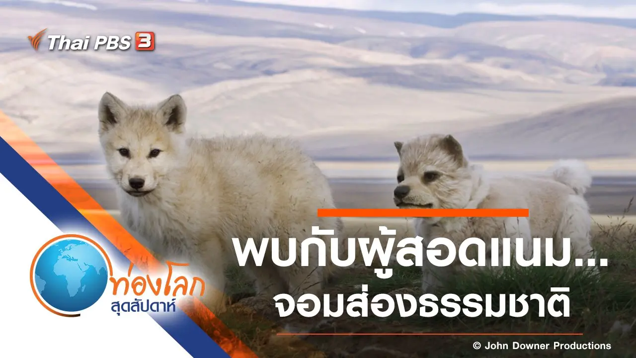 พบกับผู้สอดแนม...จอมส่องธรรมชาติ