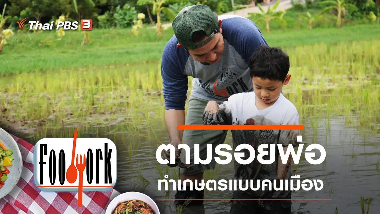 ตามรอยพ่อ