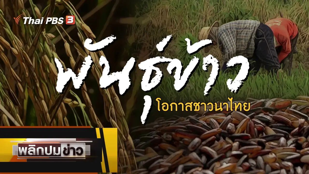 พันธุ์ข้าวโอกาสชาวนาไทย