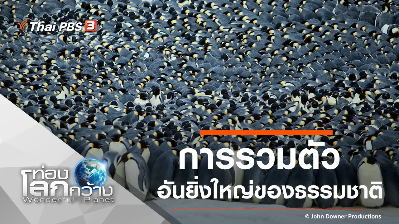 การรวมตัวอันยิ่งใหญ่ของธรรมชาติ