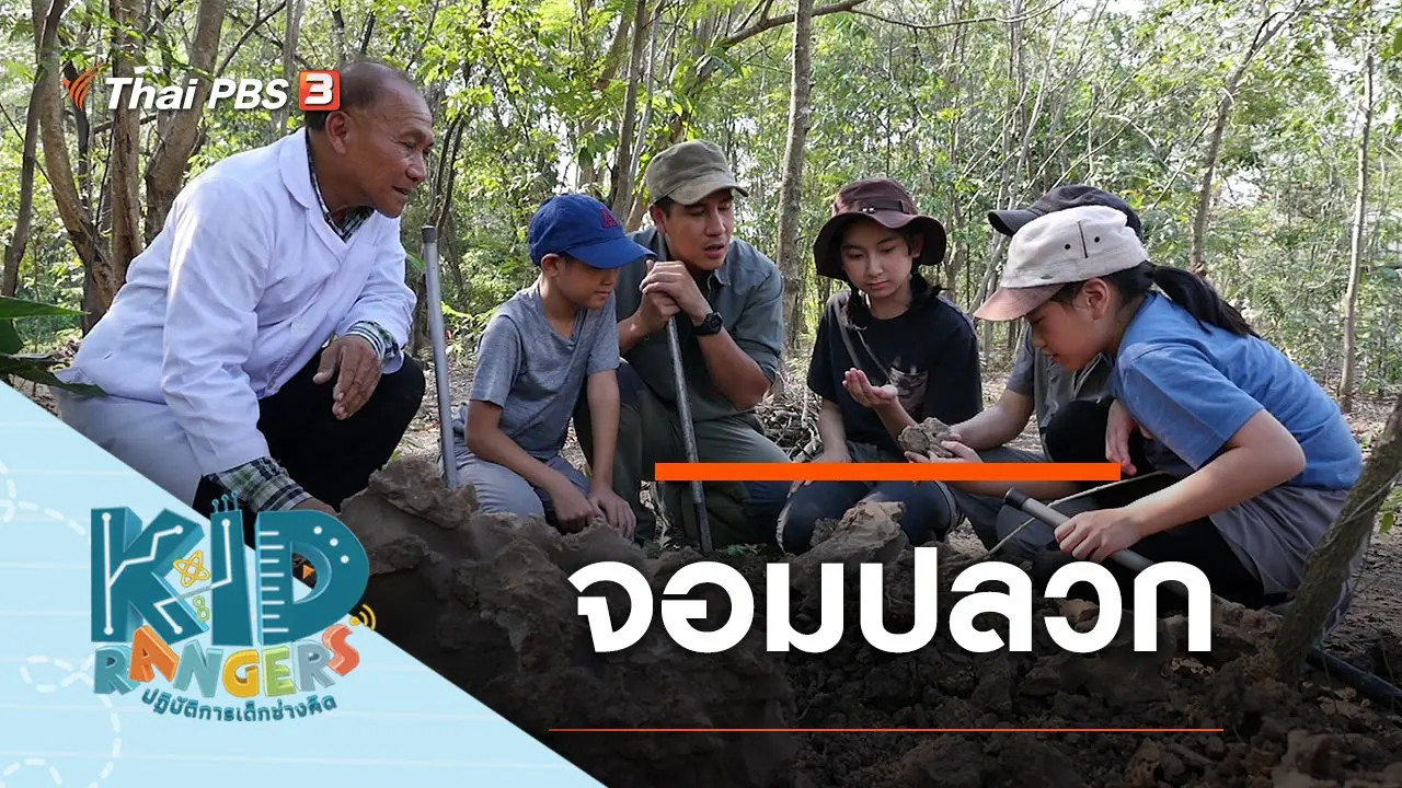 จอมปลวก