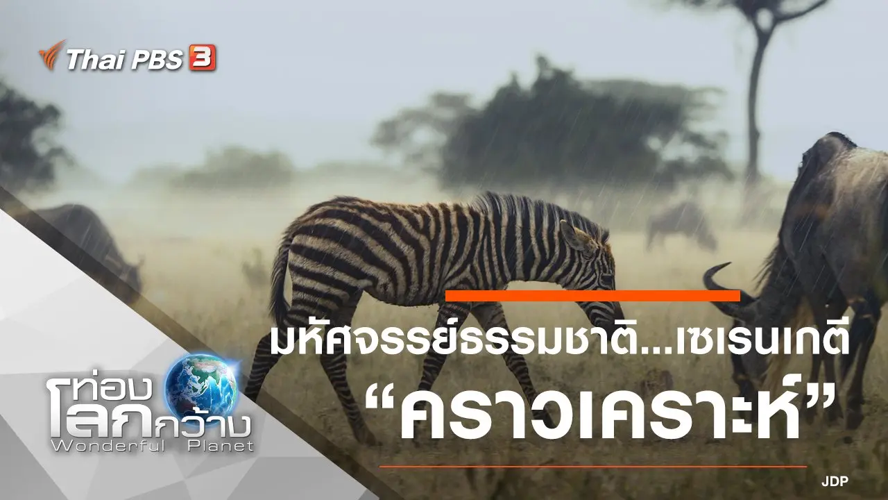 มหัศจรรย์ธรรมชาติ...เซเรนเกตี ตอน คราวเคราะห์