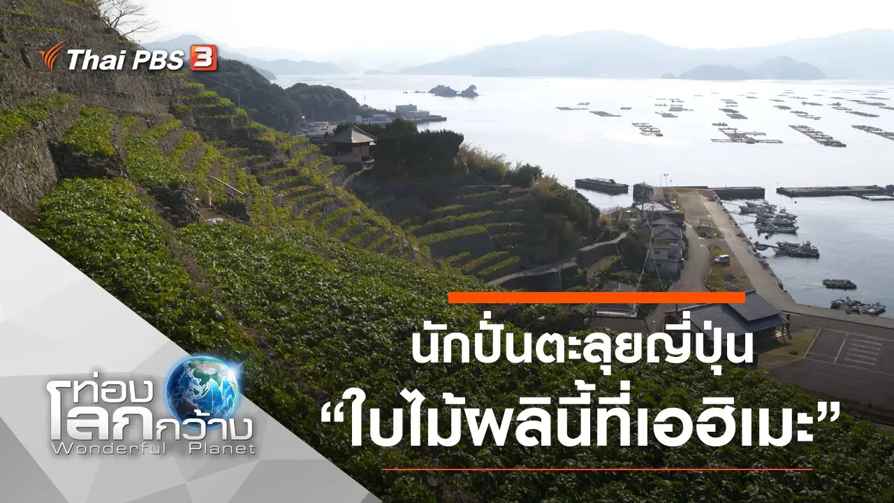 นักปั่นตะลุยญี่ปุ่น ตอน ใบไม้ผลินี้ที่เอฮิเมะ
