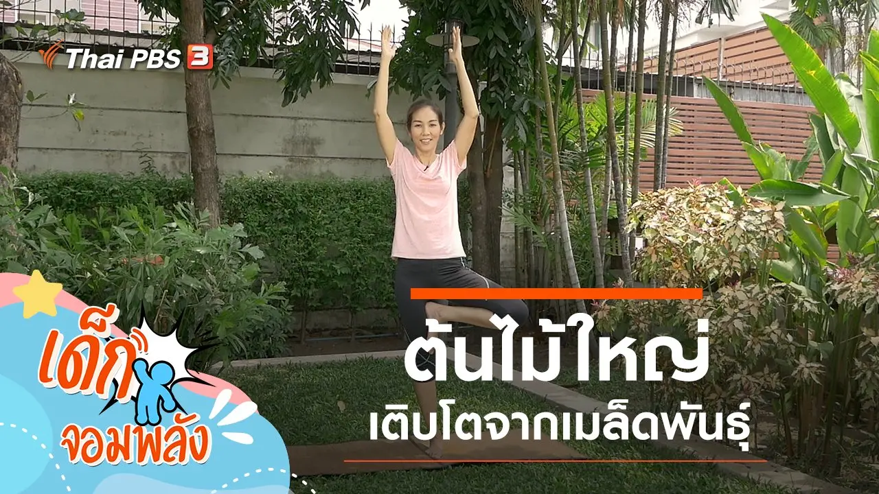 กว่าจะเป็นต้นไม้ใหญ่
