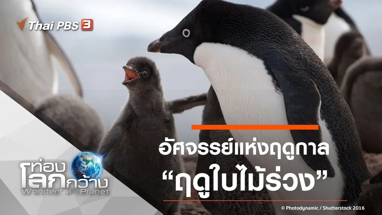 อัศจรรย์แห่งฤดูกาล ตอน ฤดูใบไม้ร่วง