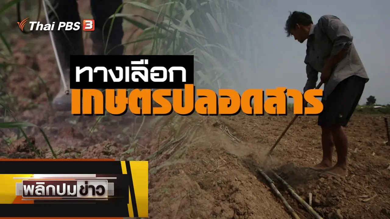 ทางเลือกเกษตรปลอดสาร