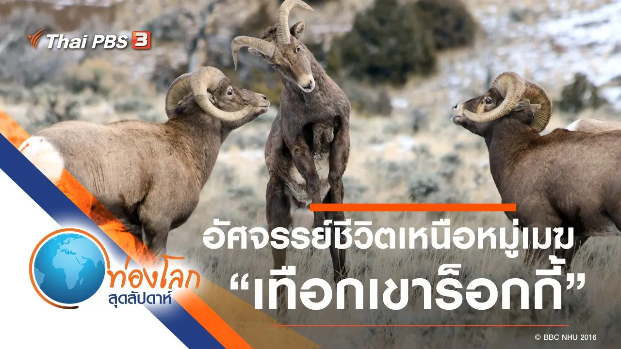 อัศจรรย์ชีวิตเหนือหมู่เมฆ ตอน เทือกเขาร็อกกี