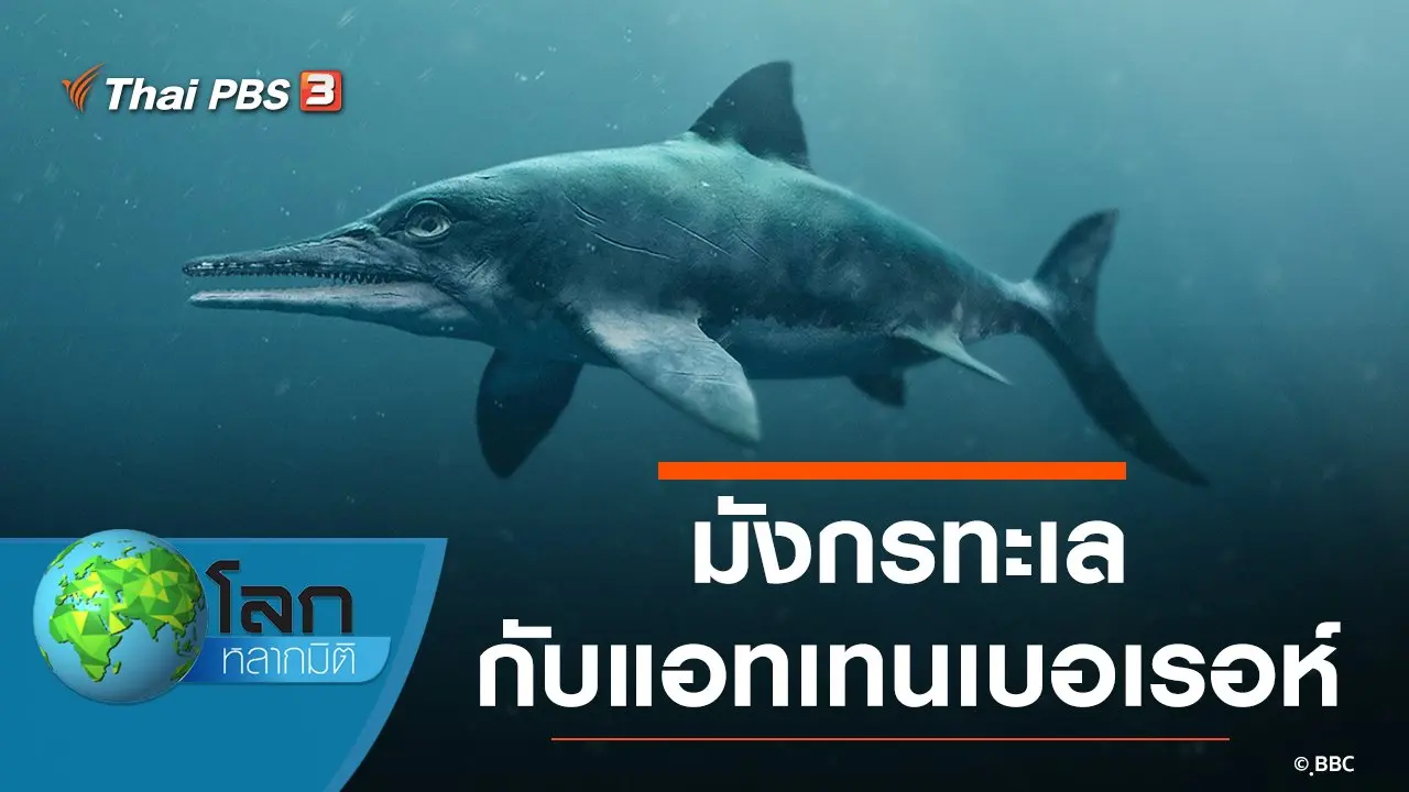 มังกรทะเลกับแอทเทนเบอเรอห์