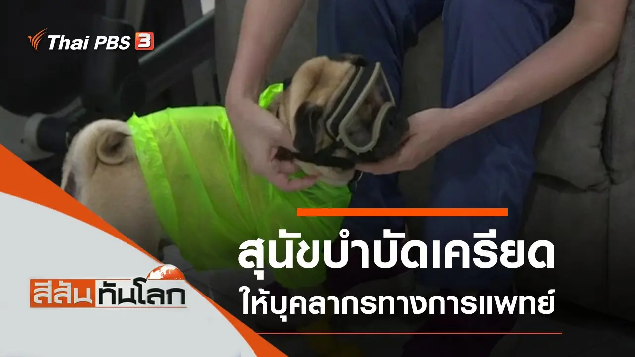 ประเด็นข่าว (6 มิ.ย. 63)