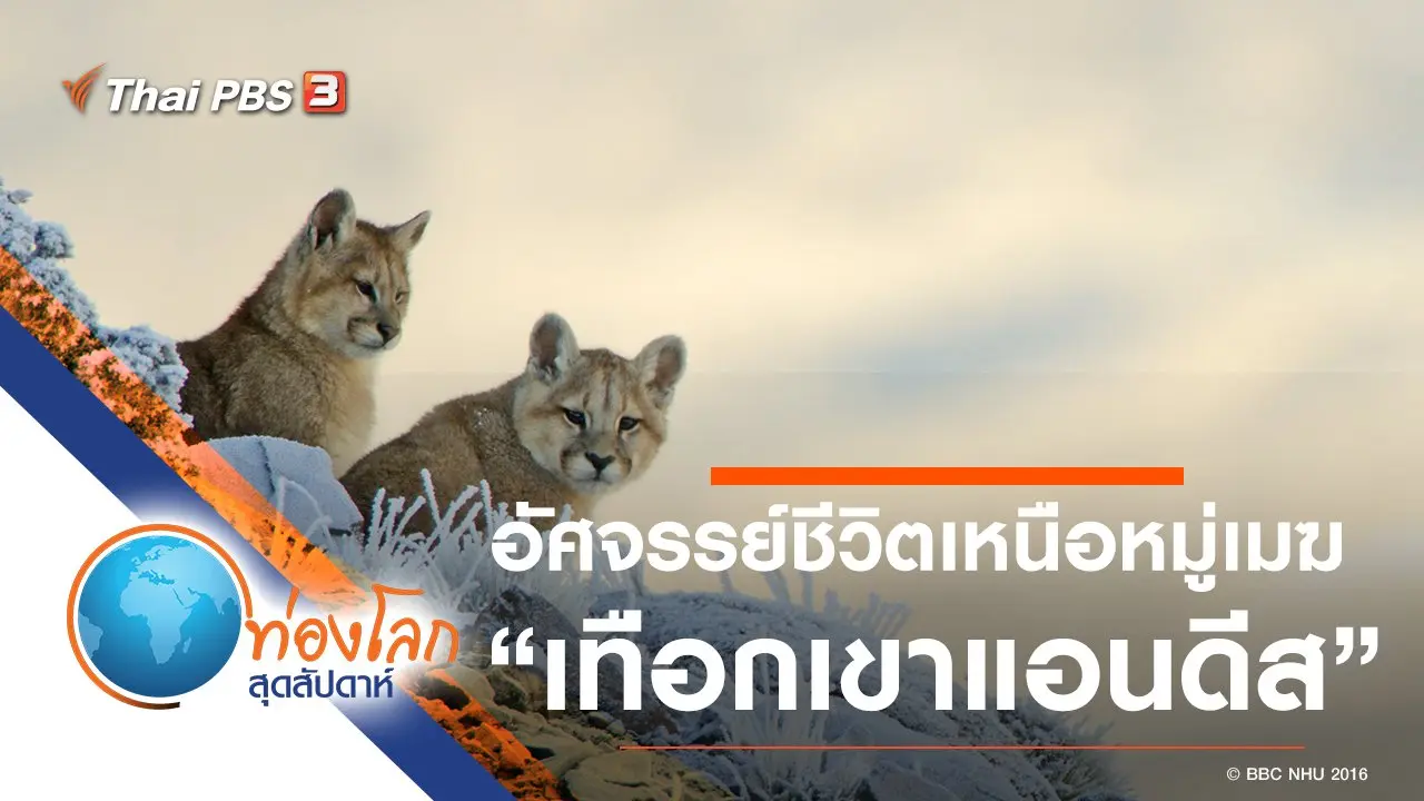 อัศจรรย์ชีวิตเหนือหมู่เมฆ ตอน เทือกเขาแอนดีส