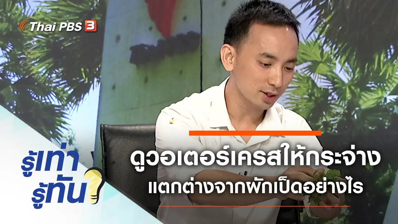 ดู “วอเตอร์เครส” ให้กระจ่าง แตกต่างจากผักเป็ดอย่างไร