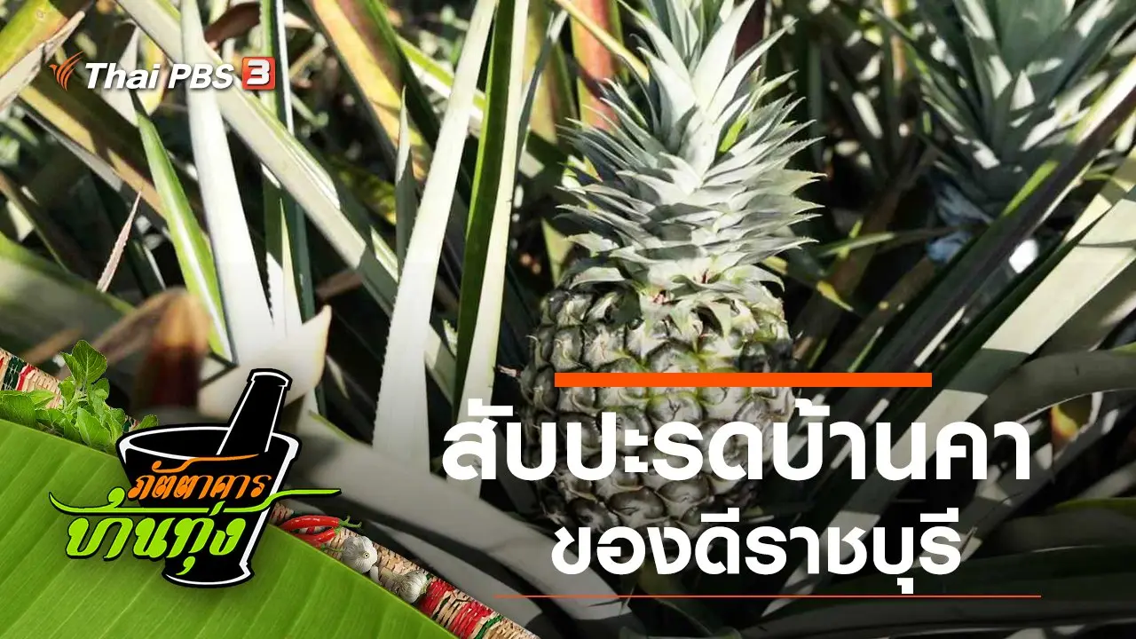 สับปะรดบ้านคา