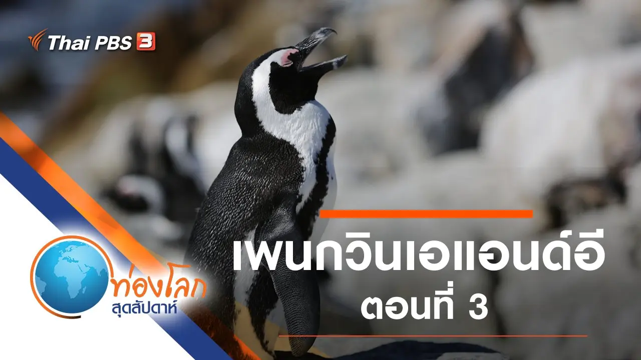 เพนกวินเอแอนด์อี ตอนที่ 3