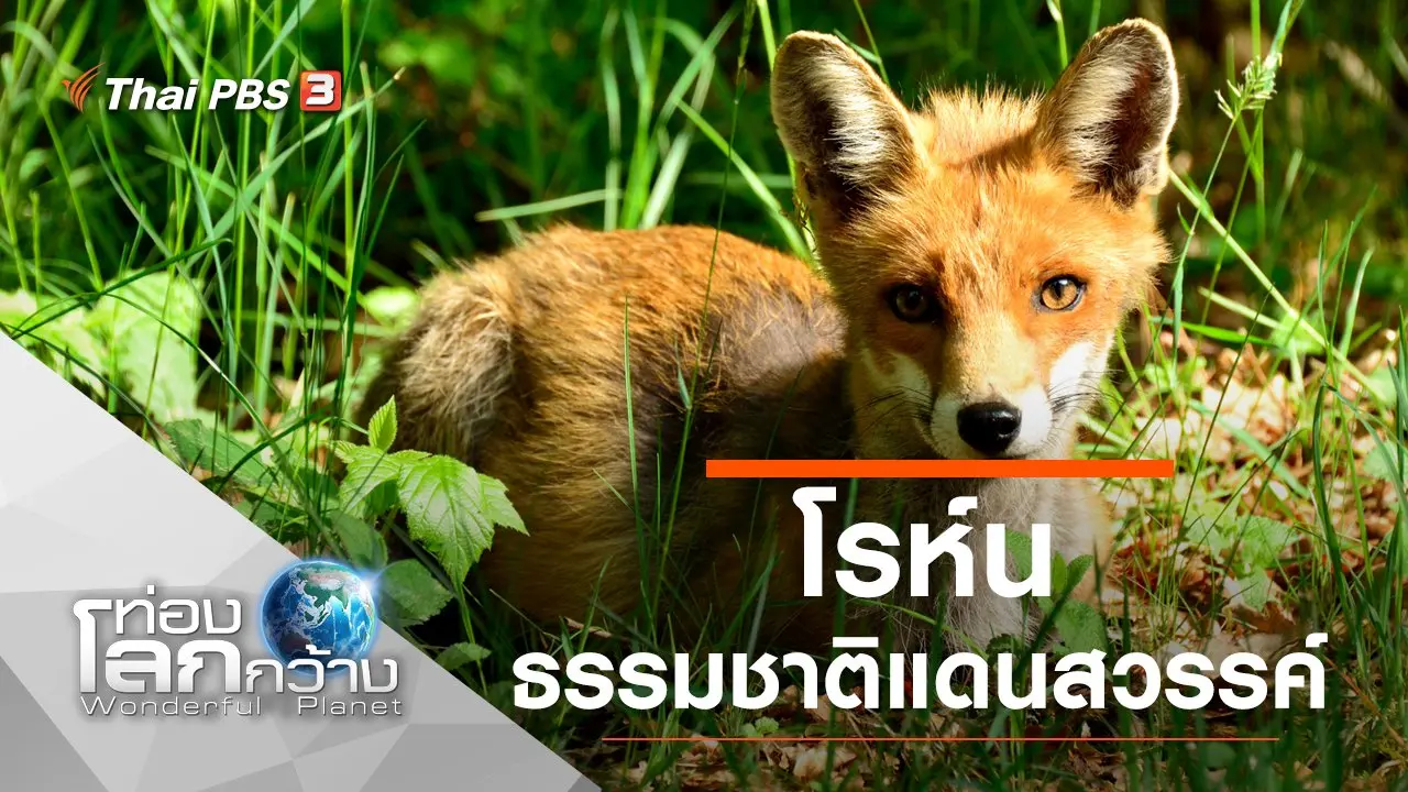 โรห์น ธรรมชาติแดนสวรรค์
