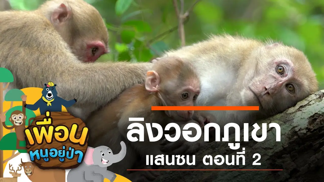 ลิงวอกภูเขาแสนซน ตอนที่ 2