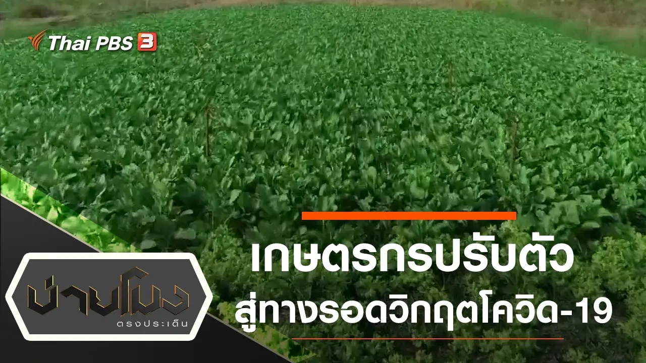 ประเด็นข่าว (2 เม.ย. 63)