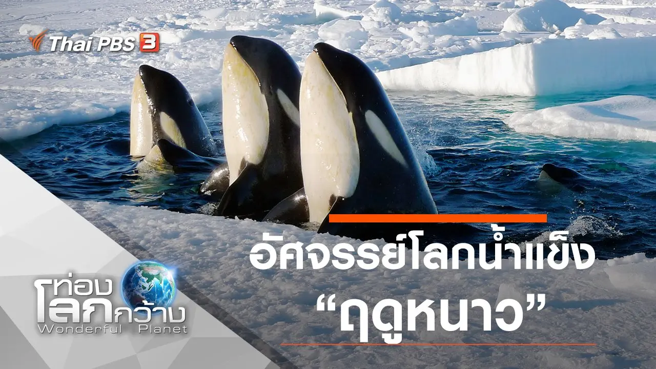 อัศจรรย์โลกน้ำแข็ง ตอน ฤดูหนาว