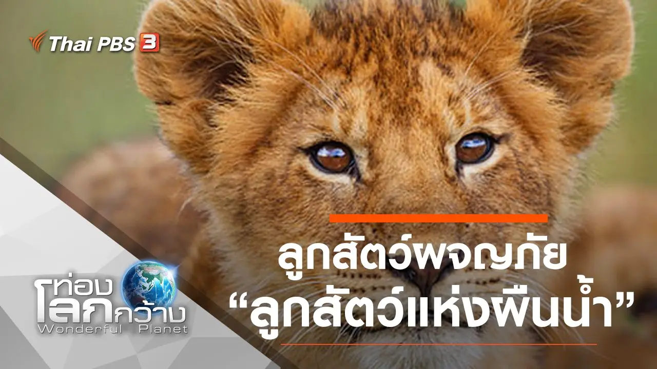 ลูกสัตว์ผจญภัย ตอน ลูกสัตว์แห่งผืนน้ำ