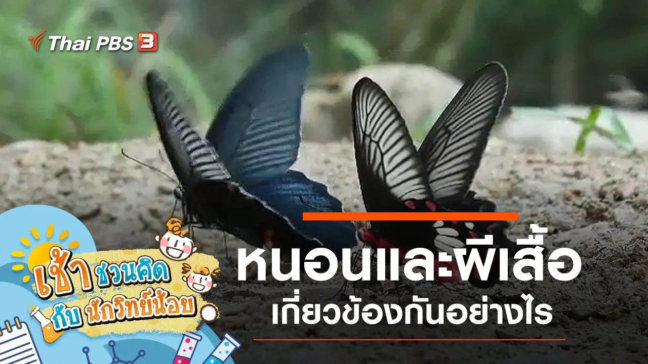 เช้าชวนคิด กับนักวิทย์น้อย