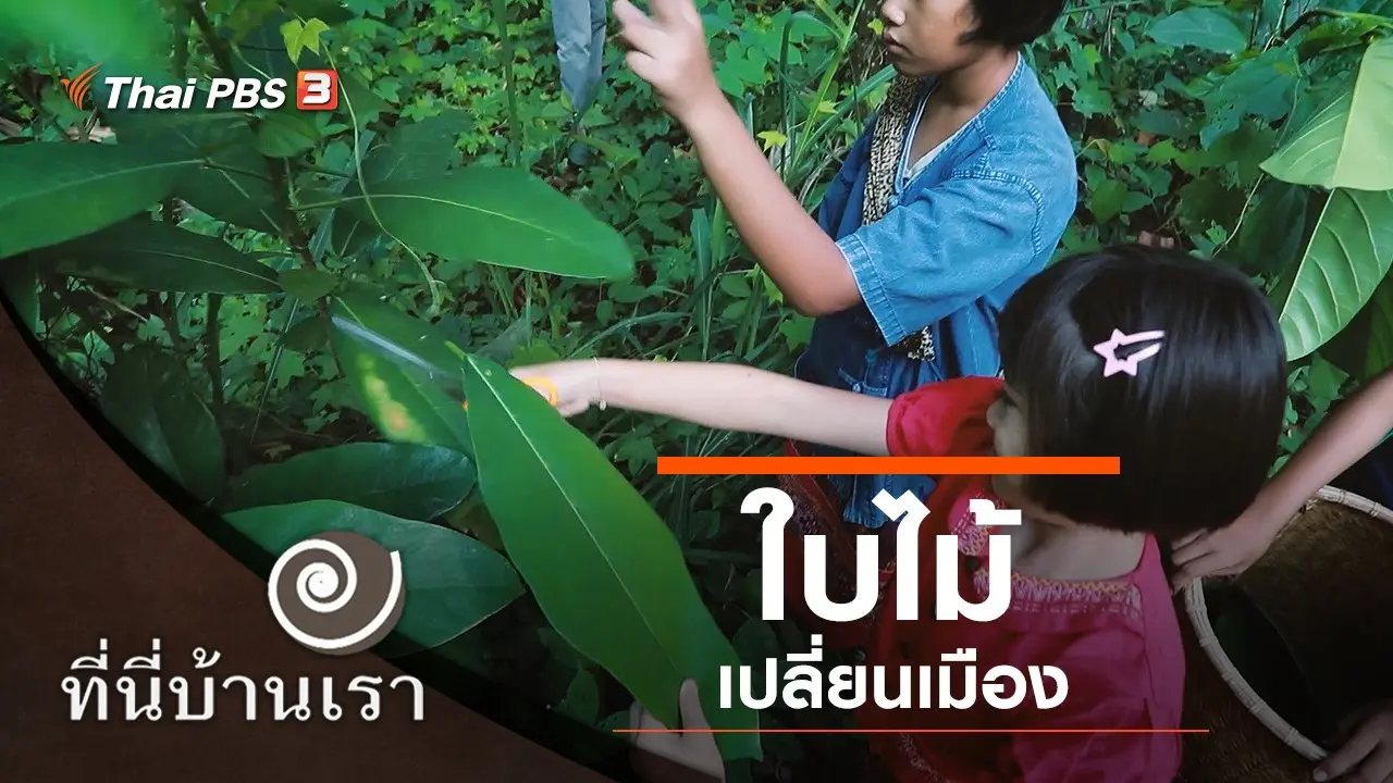 ใบไม้เปลี่ยนเมือง