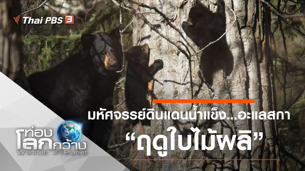 มหัศจรรย์ดินแดนน้ำแข็ง...อะแลสกา ตอน ฤดูใบไม้ผลิ