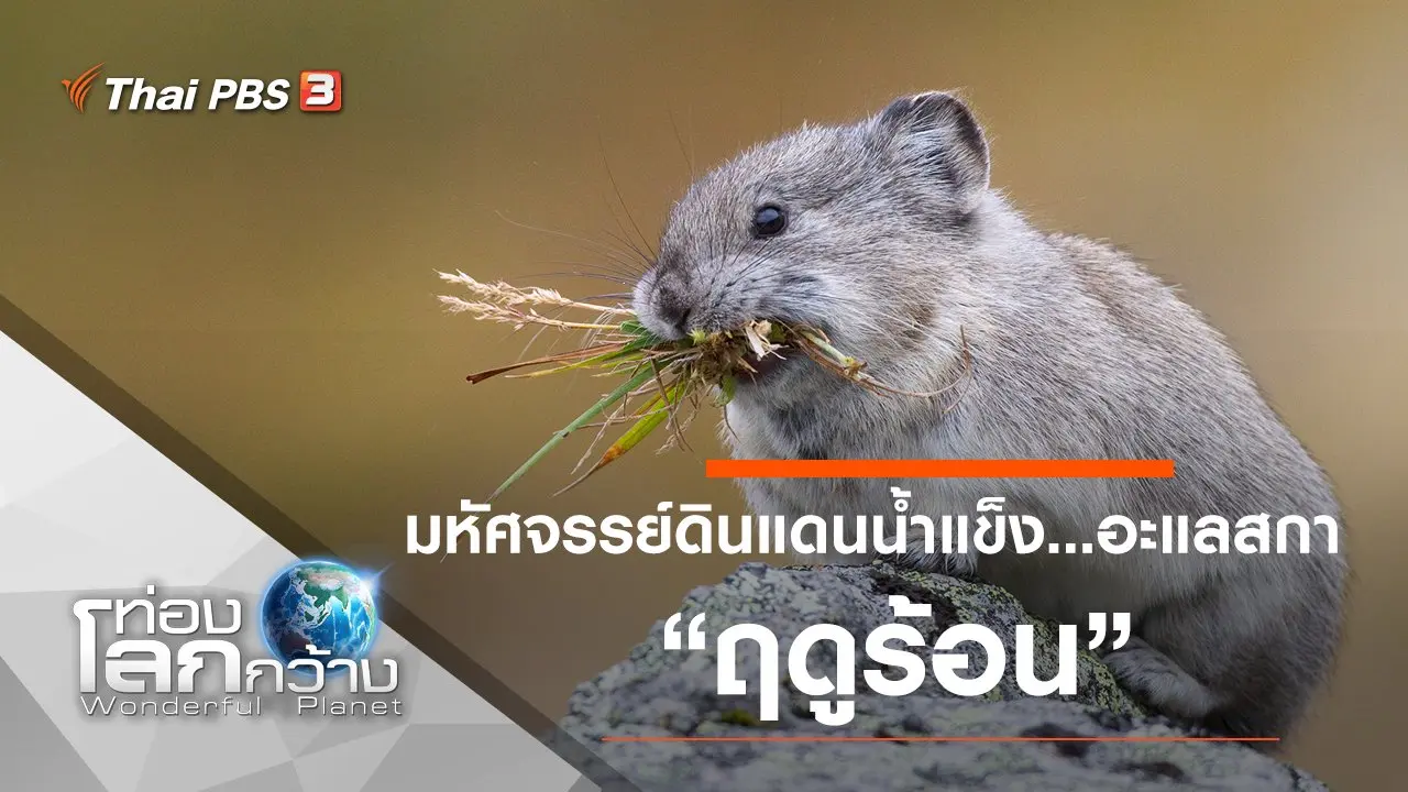 มหัศจรรย์ดินแดนน้ำแข็ง...อะแลสกา ตอน ฤดูร้อน