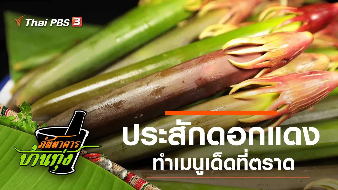 ประสักดอกแดง