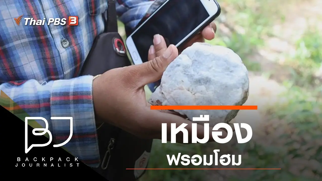 เหมืองฟรอมโฮม