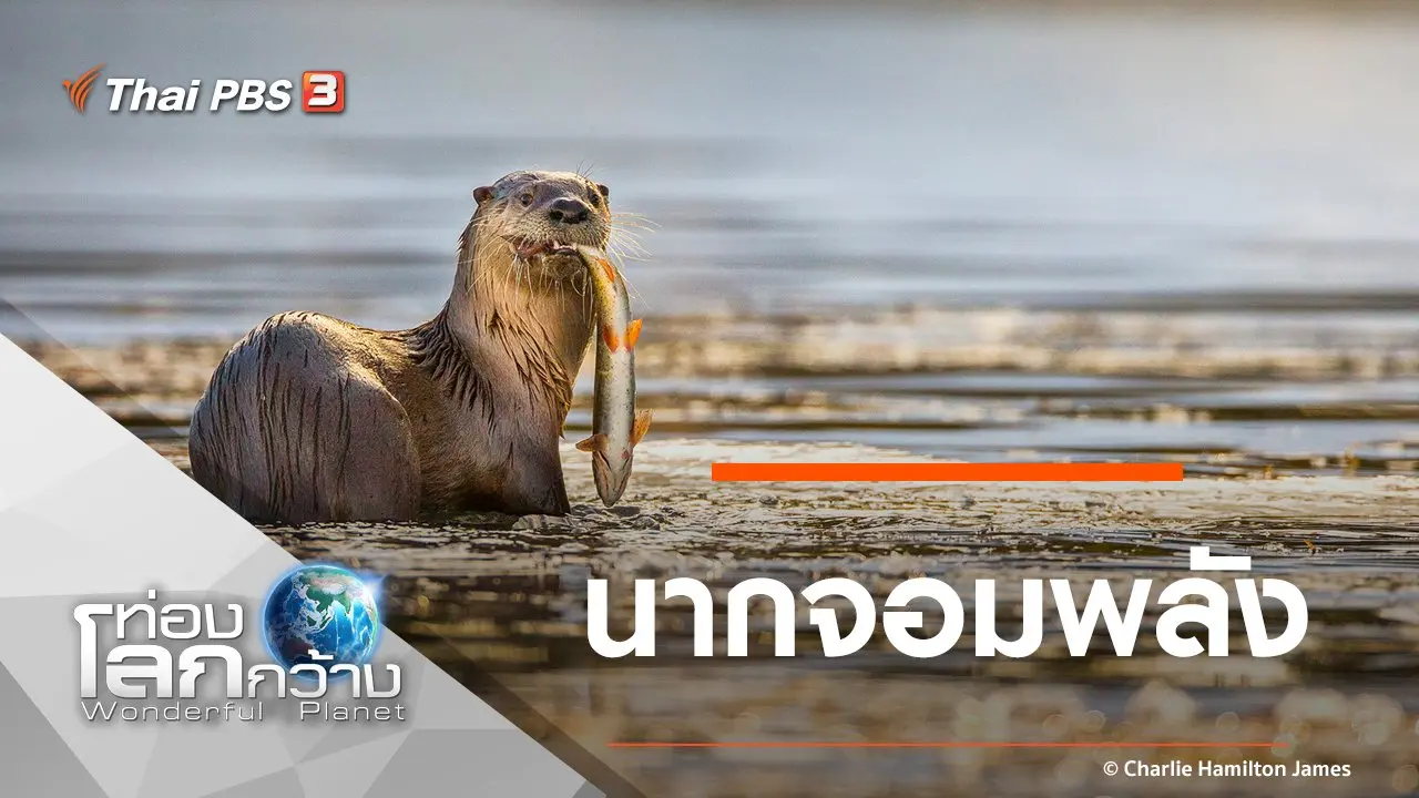 นากจอมพลัง
