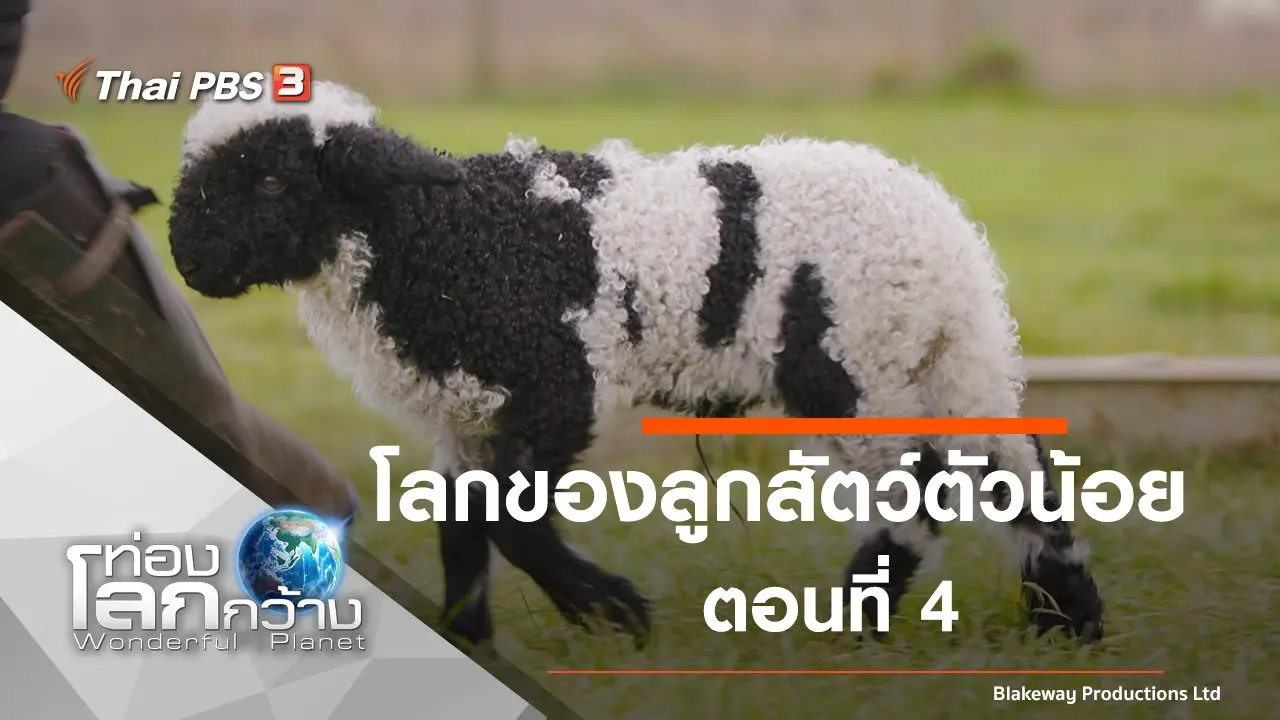 โลกของลูกสัตว์ตัวน้อย ตอนที่ 4
