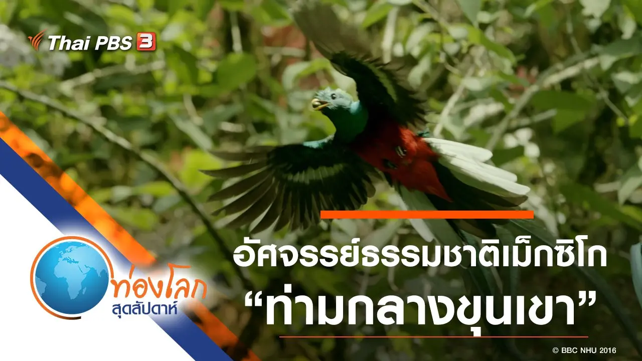 อัศจรรย์ธรรมชาติเม็กซิโก ตอน ท่ามกลางขุนเขา